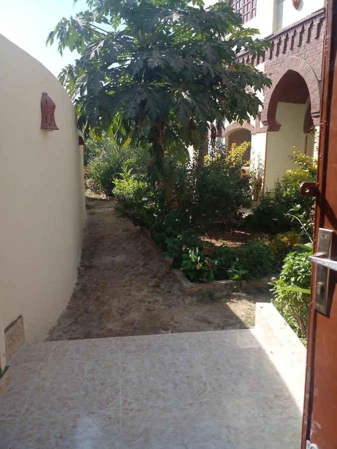 Tasneem Palace Luxor Apartment