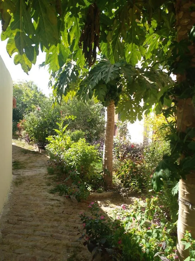 Tasneem Palace Luxor Apartment